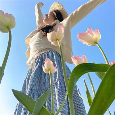 间谍嬉春 封面